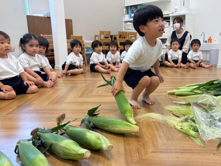とうもろこし🌽