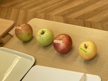 りんごの食べ比べ🍎